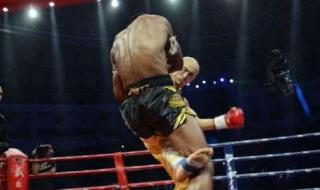 武林风一龙 武林风一龙