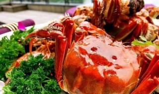 阳澄湖大闸蟹到哪里买的到 阳澄湖大闸蟹专卖