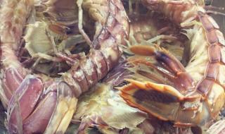 宝贝乖一点好不好 宝贝乖一点好不好