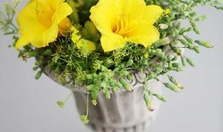 椿萱并茂兰桂腾芳解释 椿萱并茂是什么意思